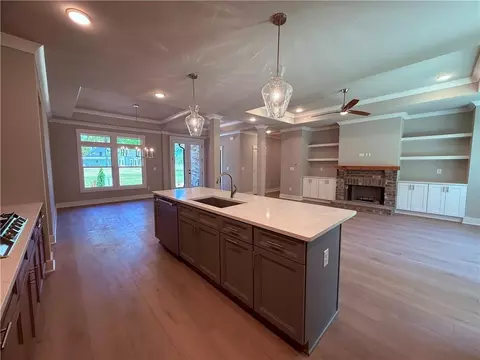 Living - 305 Springtime Way, Monroe, GA 30655 photo 4 of 4