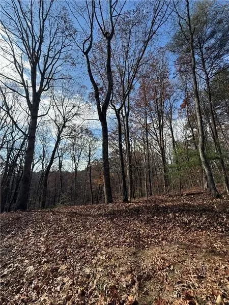 0 Orchard Rd, Jasper, GA 30143 photo 4
