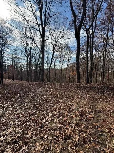 0 Orchard Rd, Jasper, GA 30143 photo 3