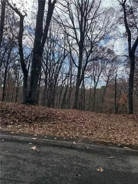 0 Orchard Rd, Jasper, GA 30143 photo 18
