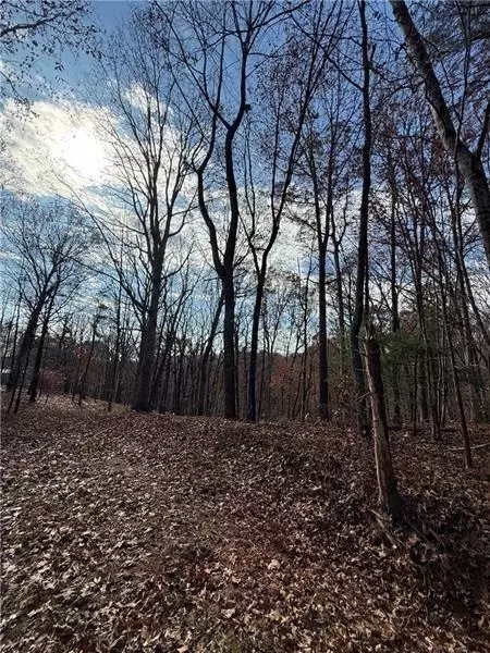 0 Orchard Rd, Jasper, GA 30143 photo 6