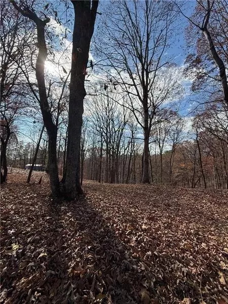 0 Orchard Rd, Jasper, GA 30143 photo 8
