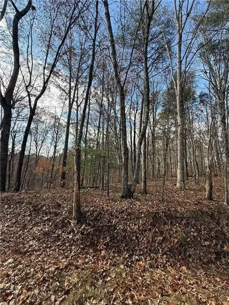 0 Orchard Rd, Jasper, GA 30143 photo 5