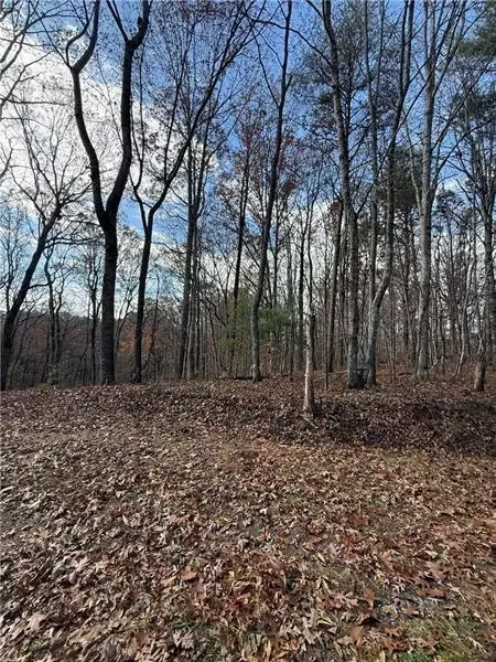 0 Orchard Rd, Jasper, GA 30143 photo 11
