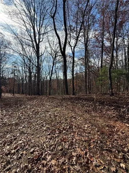 0 Orchard Rd, Jasper, GA 30143 photo 7