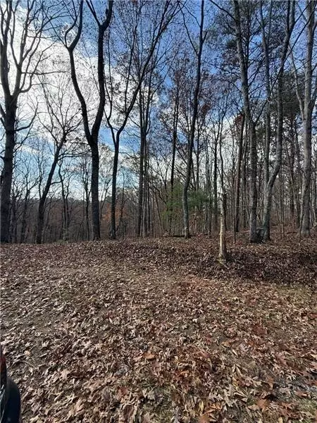 0 Orchard Rd, Jasper, GA 30143 photo 10