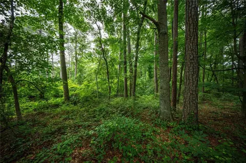 0 Gordon Ct, Winder, GA 30680 photo 6