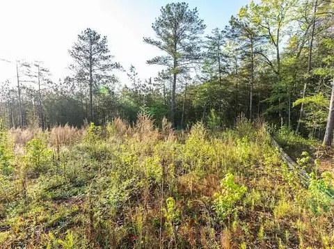 4275 Westbrook Rd, Suwanee, GA 30024 photo 18