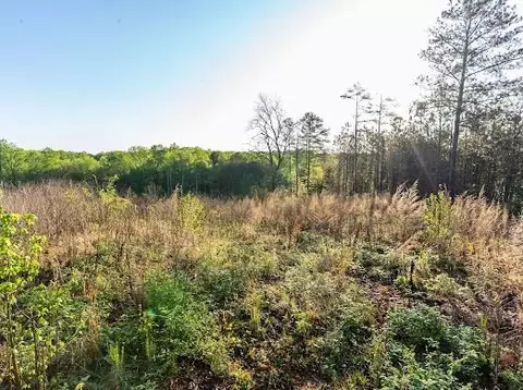 4275 Westbrook Rd, Suwanee, GA 30024 photo 19