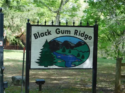 0 Dallas Ln, Blue Ridge, GA 30513