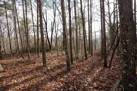 1 Amber Ct, Jasper, GA 30143 photo 11