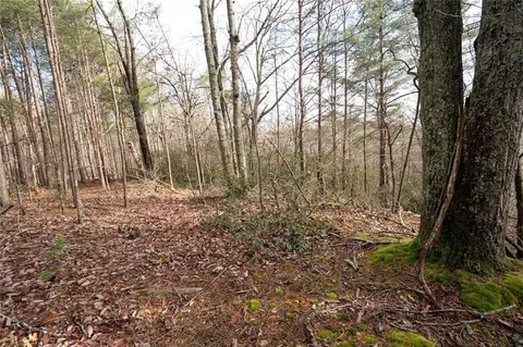 1 Amber Ct, Jasper, GA 30143 photo 3