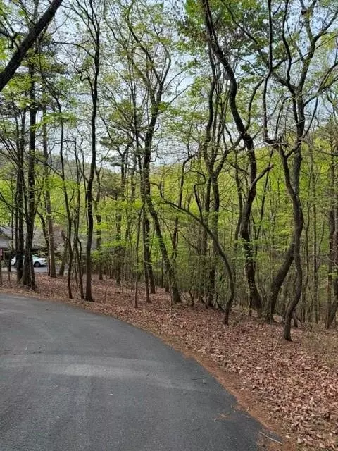226 Crested Fern Ln, Big Canoe, GA 30143