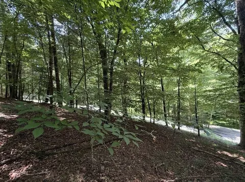 Lt3469 Fir Lane, Ellijay, GA 30540