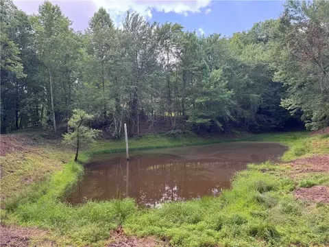 3 5 Ac Ben Higgins Rd, Dahlonega, GA 30533