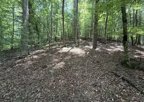 Lt2607 Magnet Court, Ellijay, GA 30540