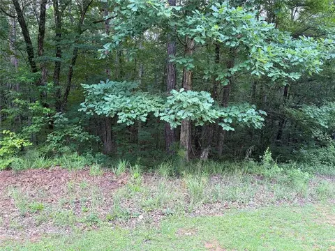 000 Serenity, Cataula, GA 31808 photo 24