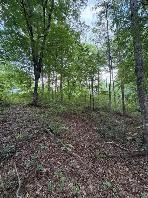 000 Serenity, Cataula, GA 31808 photo 5