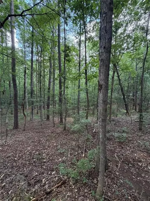 000 Serenity, Cataula, GA 31808 photo 7