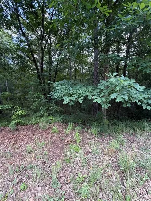 000 Serenity, Cataula, GA 31808 photo 11