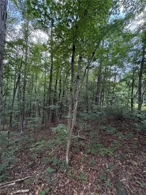 000 Serenity, Cataula, GA 31808 photo 13