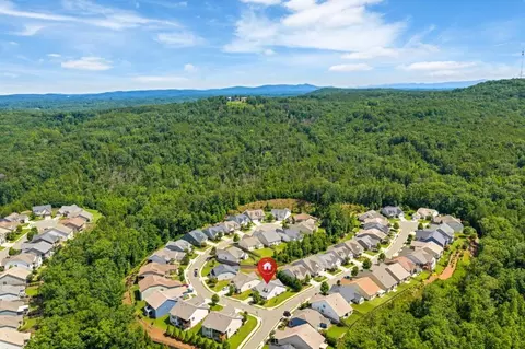 View/Area - 400 Laurel Spring Ct, Canton, GA 30114 photo 8 of 8