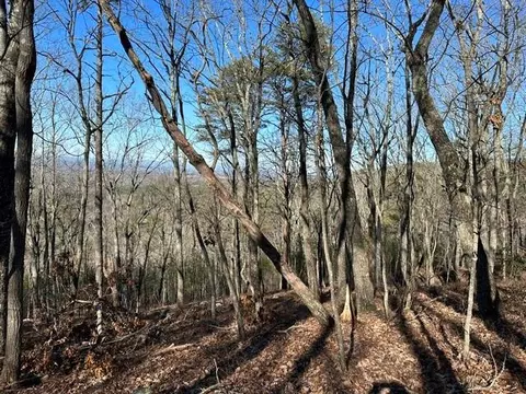0 Ridgeside Ct, Jasper, GA 30143 photo 6