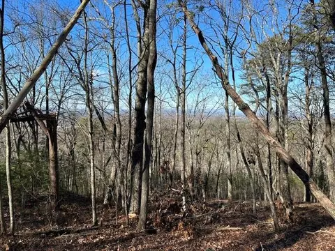 0 Ridgeside Ct, Jasper, GA 30143 photo 7