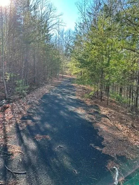 0 Ridgeside Ct, Jasper, GA 30143 photo 5
