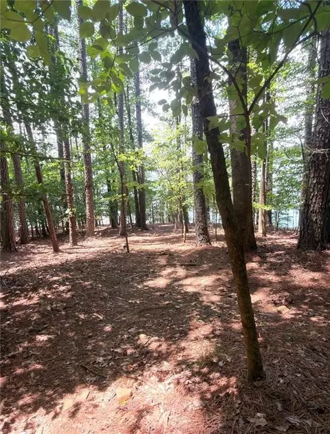 1739 Green Rd, Buford, GA 30518 photo 4