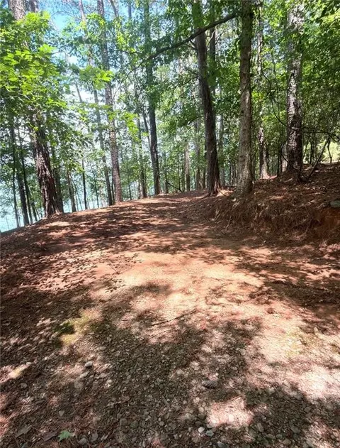 1739 Green Rd, Buford, GA 30518 photo 3