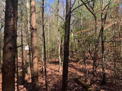 0 E New Hope Rd, Ellijay, GA 30536