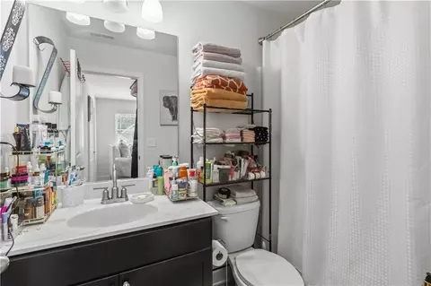 Bath - 217 Sebastian Cv, Hampton, GA 30228 photo 5 of 6