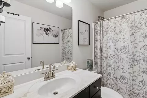 Bath - 217 Sebastian Cv, Hampton, GA 30228 photo 6 of 6