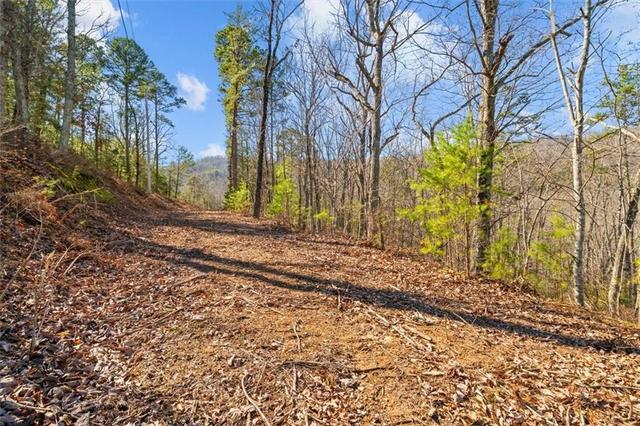 000 Deerfield Ln, Calhoun, GA 30701
