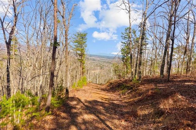 571 Deerfield Ln, Sugar Valley, GA 30746