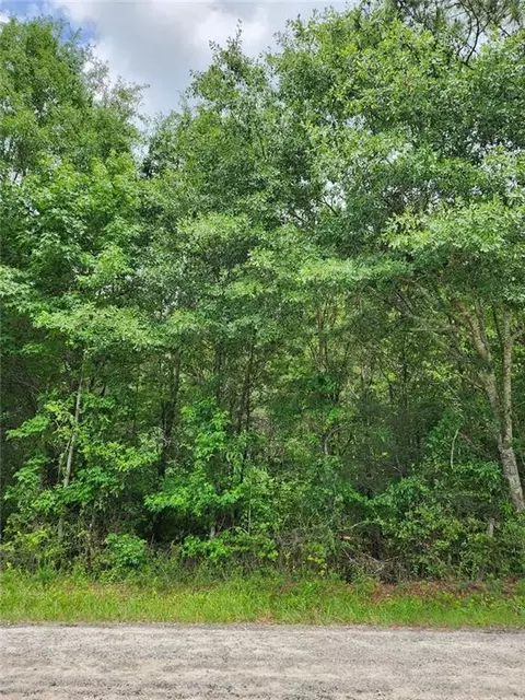 0 Barton Bridge Rd, Monroe, GA 30655 photo 5