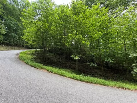 lot19 Mill Ridge Rd, Hiawassee, GA 30546