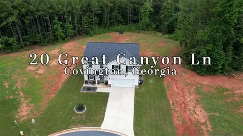 20 Great Canyon Ln, Covington, GA 30016
