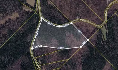 0 Felton Mcmichael Rd - Landlot 090-091 Rd, Monticello, GA 31064
