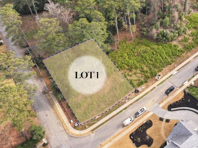 462 Emily Reed Ln, Atlanta, GA 30342