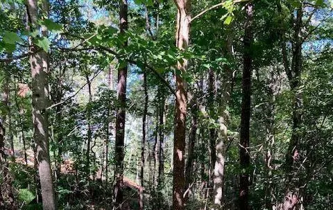 0 Red Oak Trl, Ellijay, GA 30540