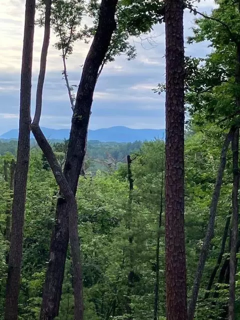 132 Red Oak Trail, Ellijay, GA 30540