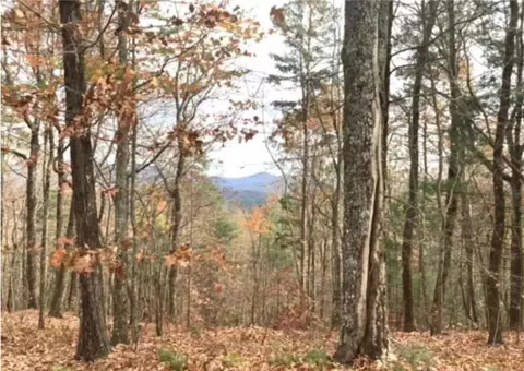 lot17 Abbott Ml, Ellijay, GA 30540