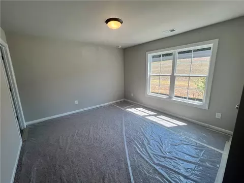 320 Willow Cv, Canton, GA 30114 photo 13