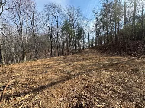 1450 Hanna Dr, Ranger, GA 30734