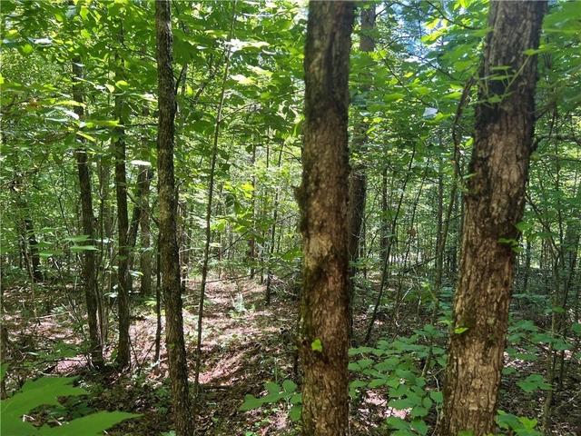 0 Fortner Rd, Ball Ground, GA 30107
