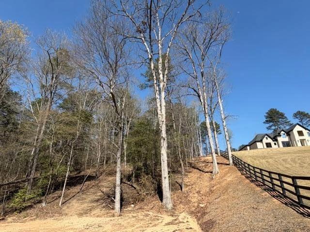 lot0 Jack Pittman Rd, Dacula, GA 30019