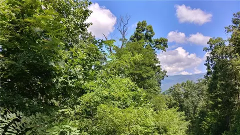 0 Goldmine Dr, Ellijay, GA 30536