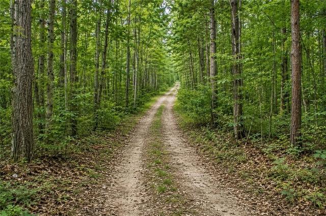 lot26 Waldrip Rd, Dawsonville, GA 30534